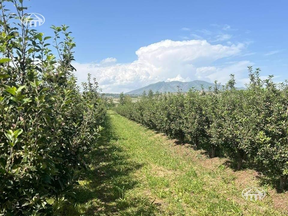Land · 9,250 m² · Ashtarak
