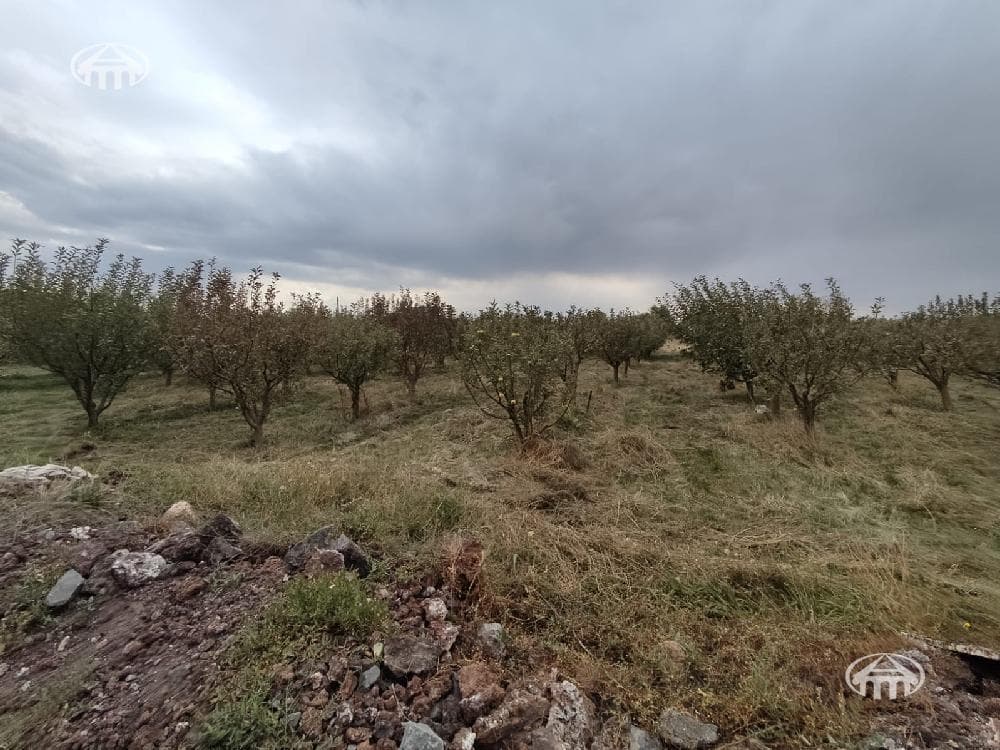 Հողատարածք · 2000 մ² · Զովունի