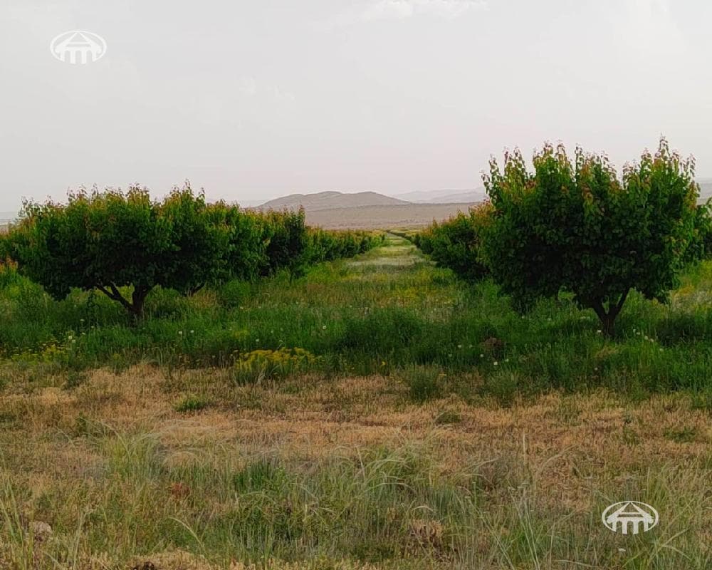 Land · 39,570 m² · Lusakn