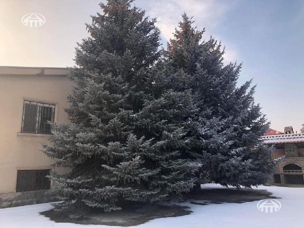 Дом · 516,5 м² · Егвард