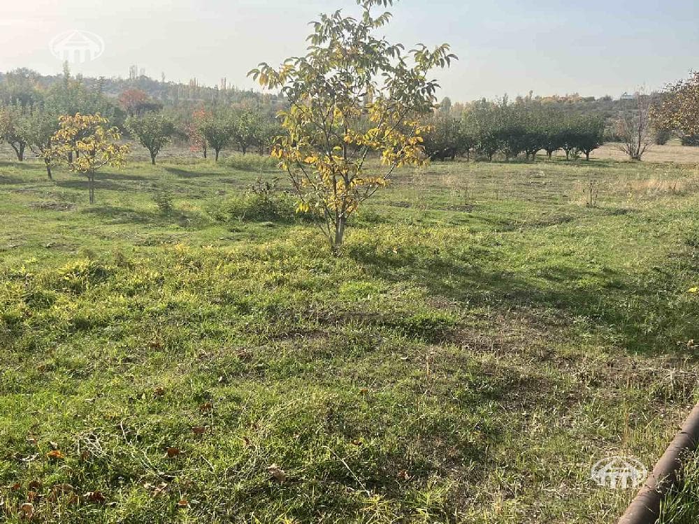 Участок · 2 810 м² · Катнахпюр