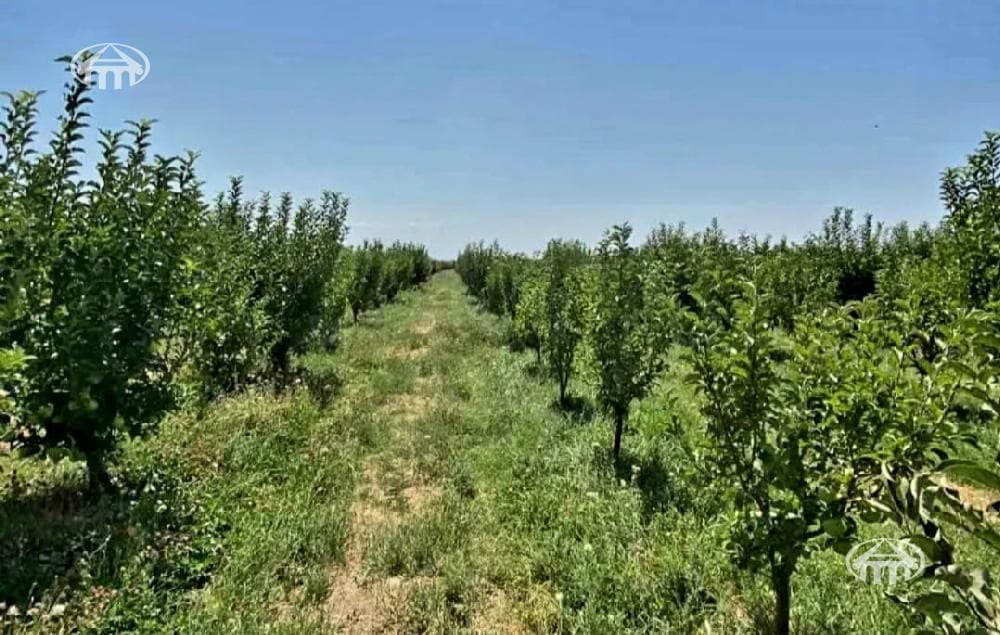 Land · 23,562 m² · Egvard