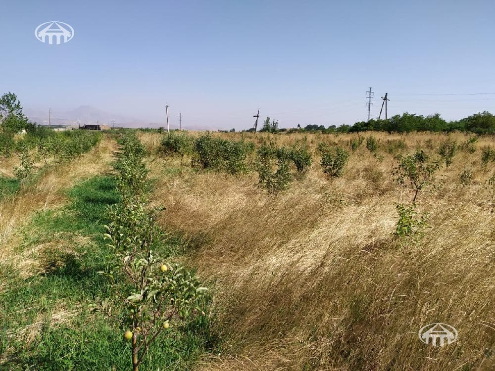 Прочее · 871 м² · Арагюх