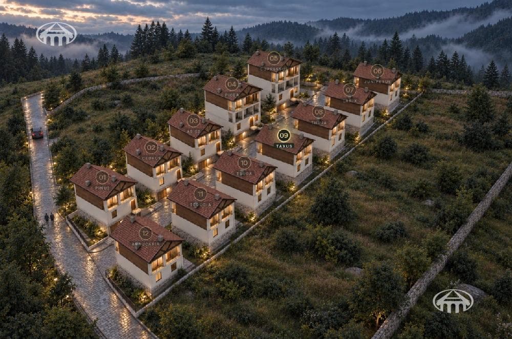 Mansion · 234 m² · Dilijan