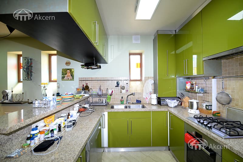 Mansion · 9 rooms · 600 m² · Balahovit