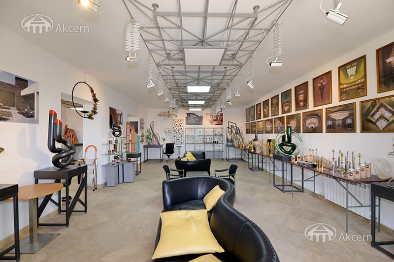 Mansion · 9 rooms · 600 m² · Balahovit