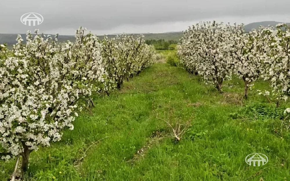 Հողատարածք · 23 562 մ² · Եղվարդ