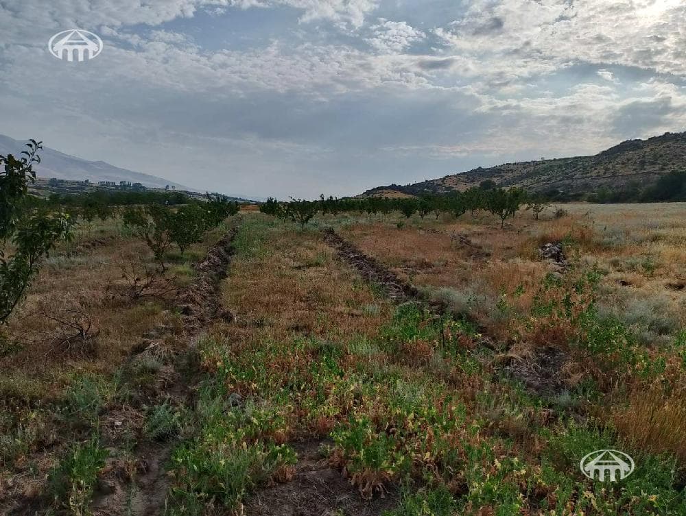 Участок · 3 645 м² · Давташен