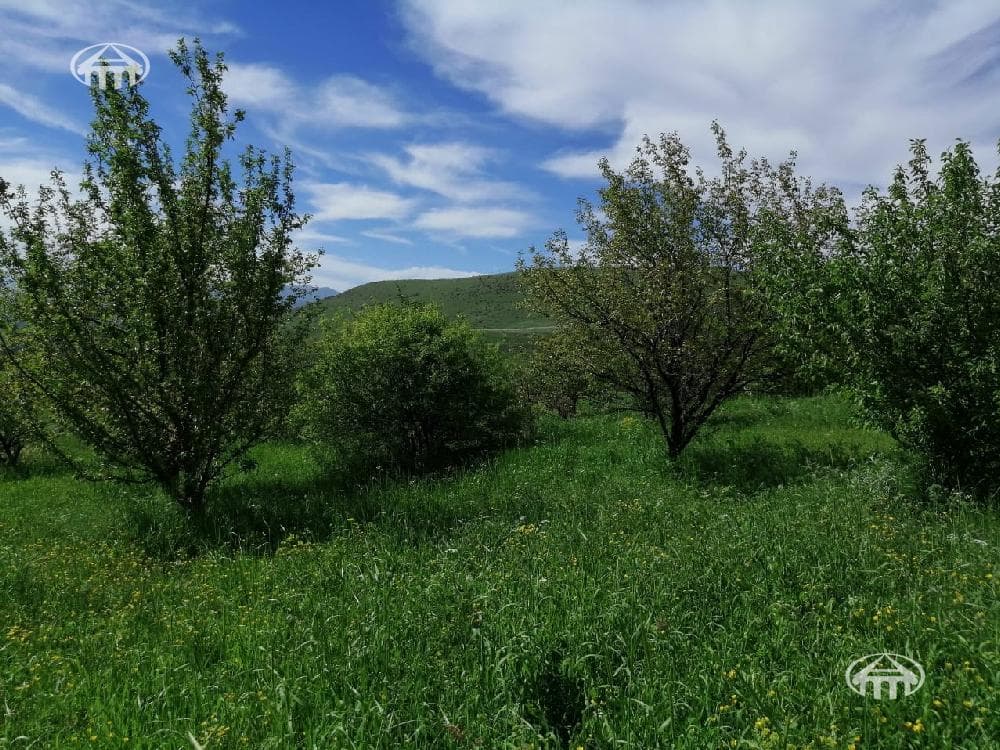 Հողատարածք · 3560 մ² · գ. Արտավան