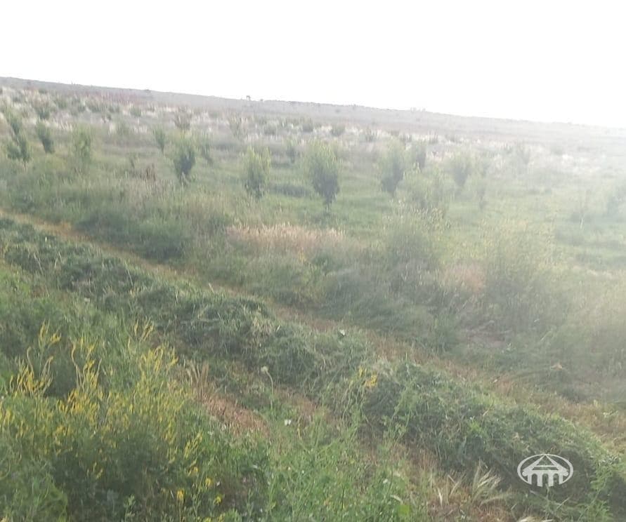 Հողատարածք · գ. Կողբավան