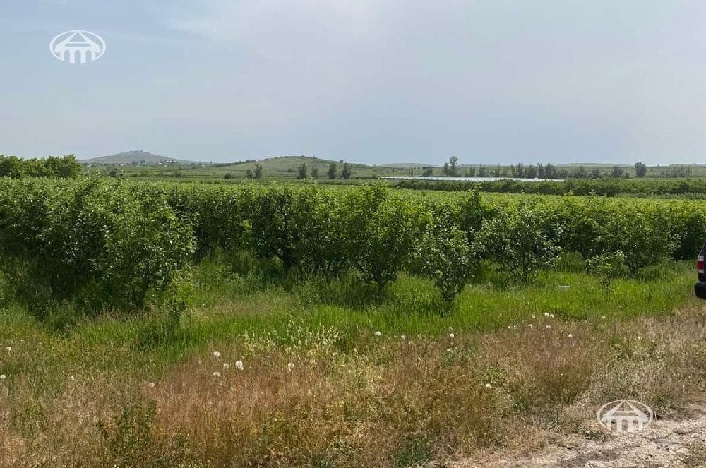 Участок · 6 530 м² · Нор Гехи