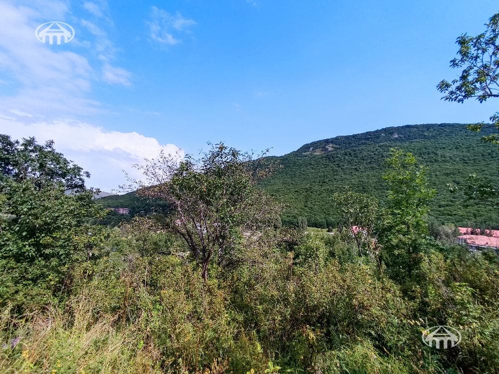 Հողատարածք · 25 000 մ² · Մեղրաձոր