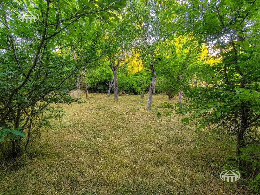 Ամառանոց · 4 սեն. · 136 մ² · Ձորաղբյուր
