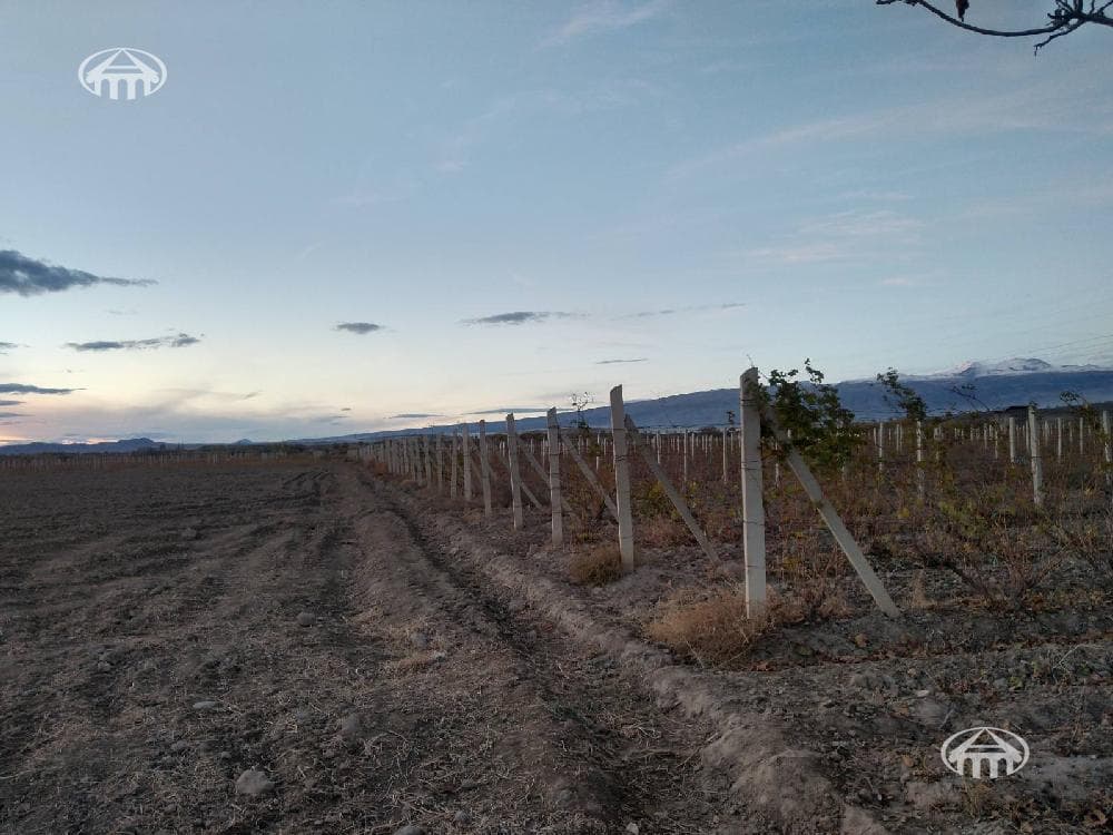 Land · 130,924 m² · Echmidzin