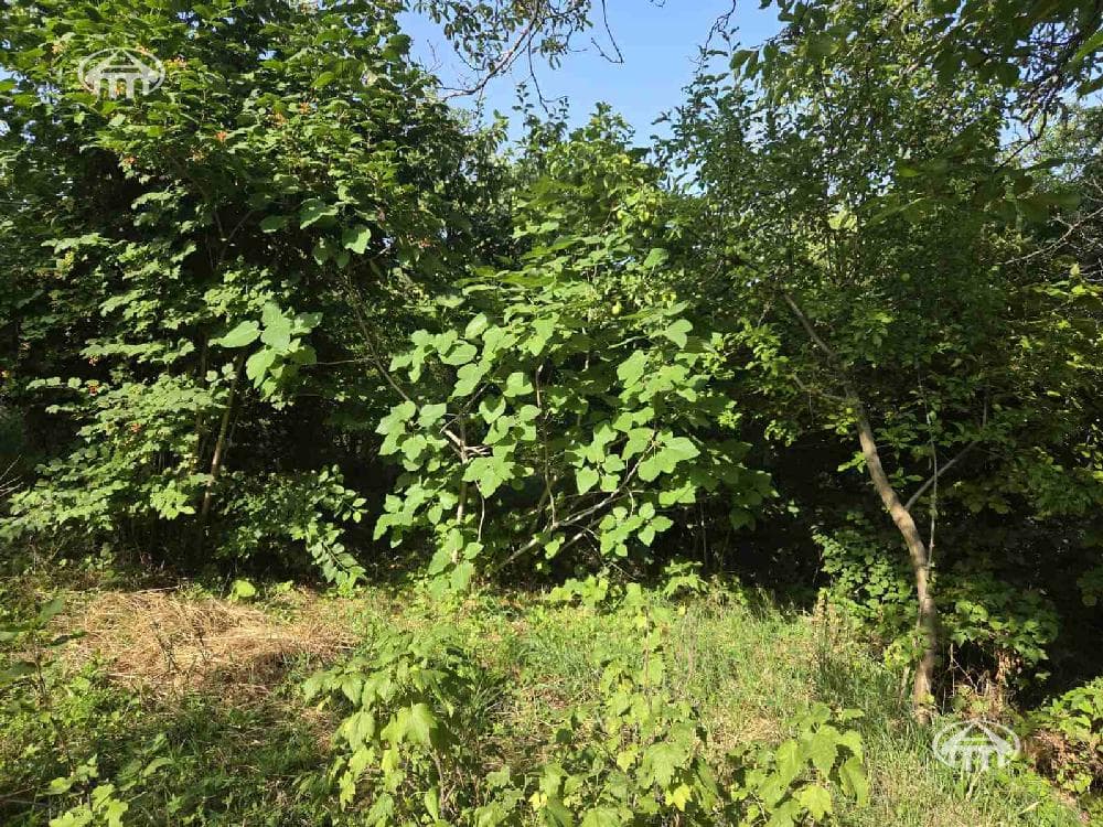House · 2 rooms · 91 m² · Byuraskan