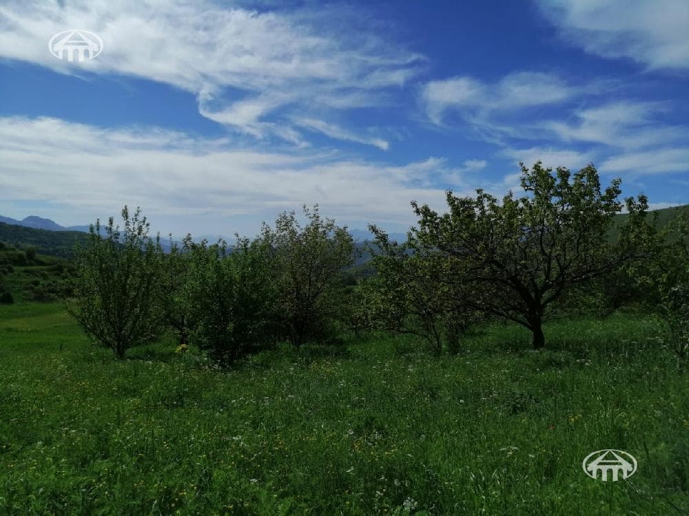 Հողատարածք · 3560 մ² · գ. Արտավան