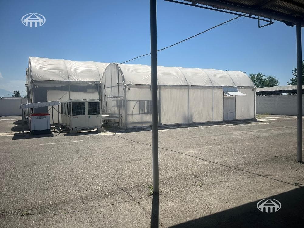 Other · 8,111 m² · Masis