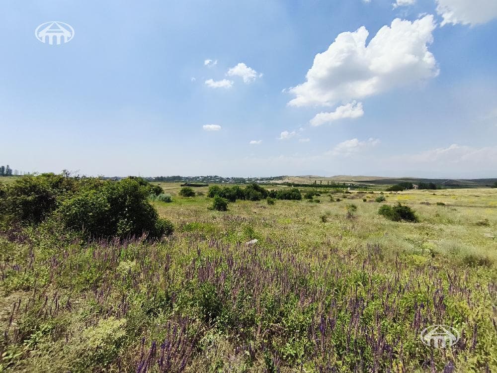 Հողատարածք · 10 291 մ² · Ձորաղբյուր