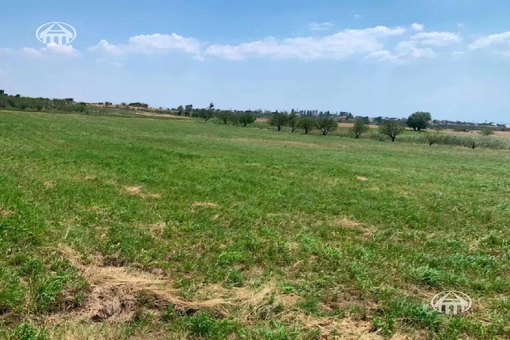 Հողատարածք · 3500 մ² · Պռոշյան