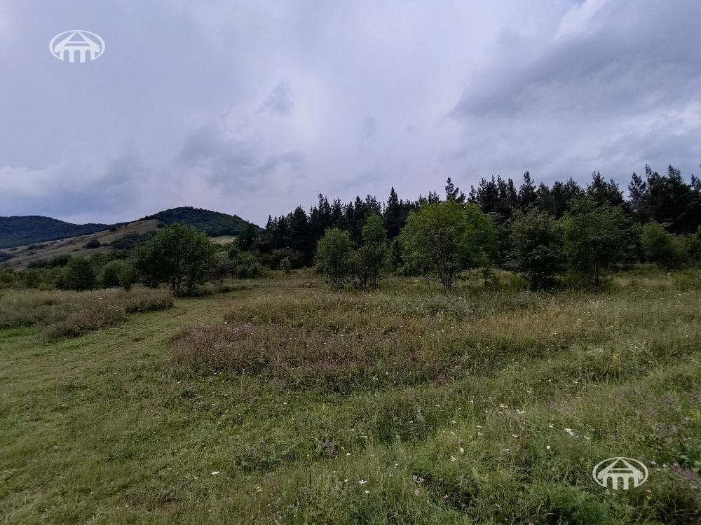 Հողատարածք · 25 000 մ² · Մեղրաձոր
