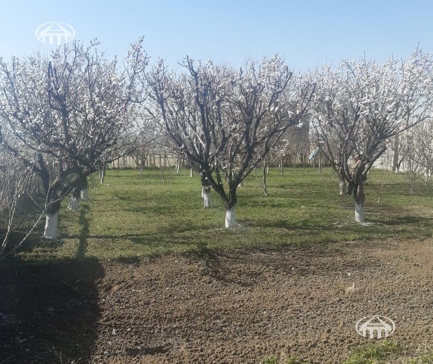 Առանձնատուն · 3 սեն. · 74 մ² · Նոր Գյուղ