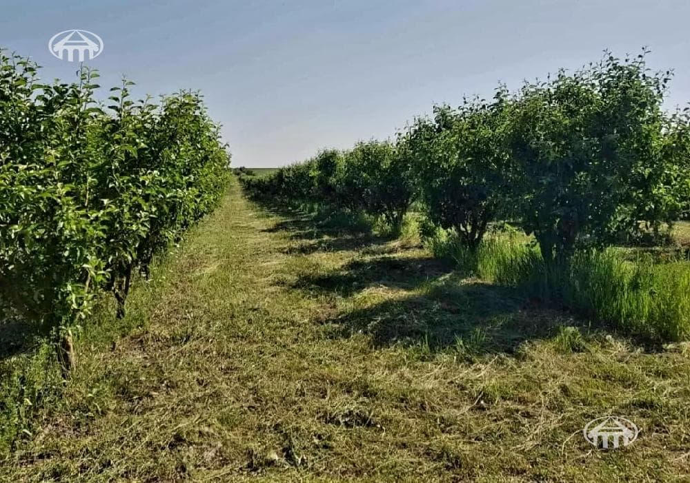 Հողատարածք · 23 562 մ² · Եղվարդ