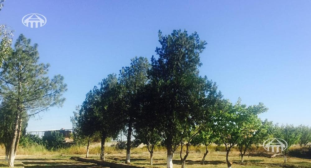 Other · 2,320 m² · Ararat Province
