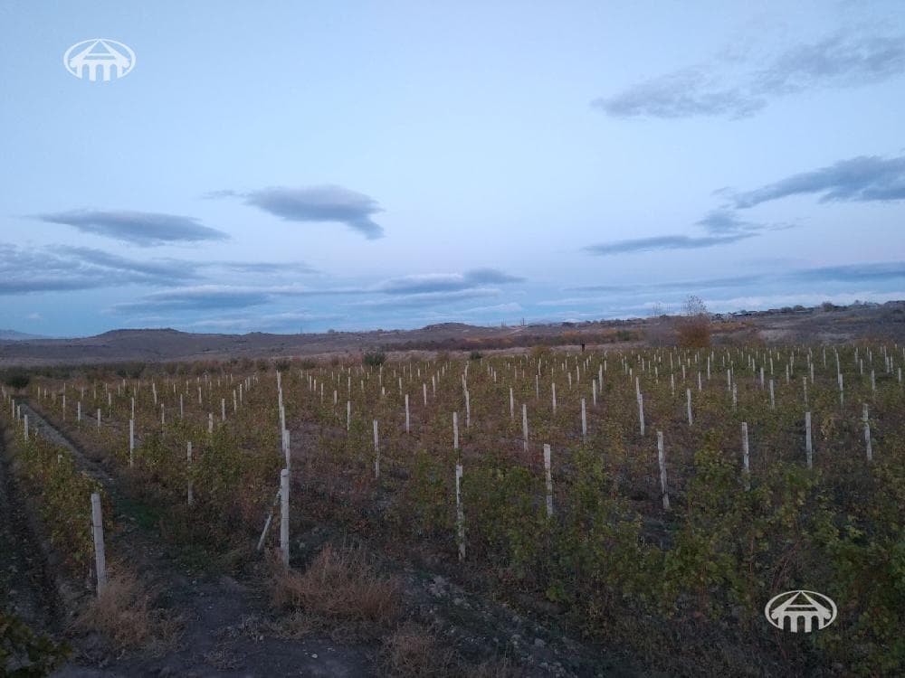 Land · 130,924 m² · Echmidzin