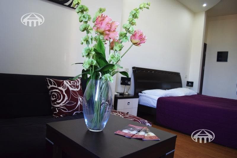 Hotel · 7 rooms · 328 m² · Arabkir