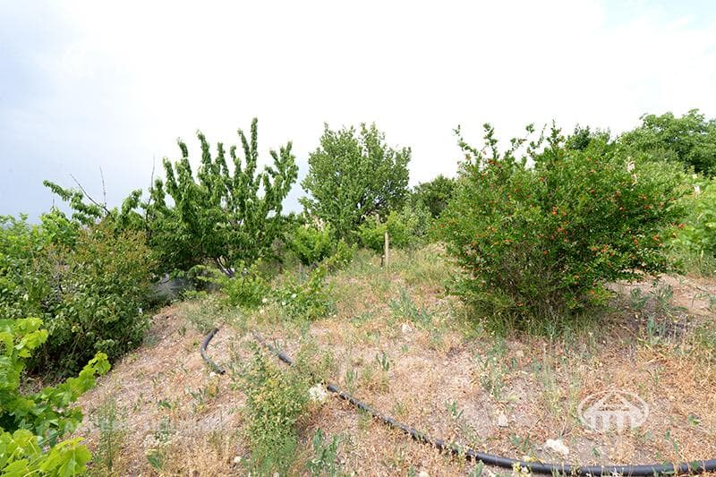 Առանձնատուն · 6 սեն. · 290 մ² · Բյուրական