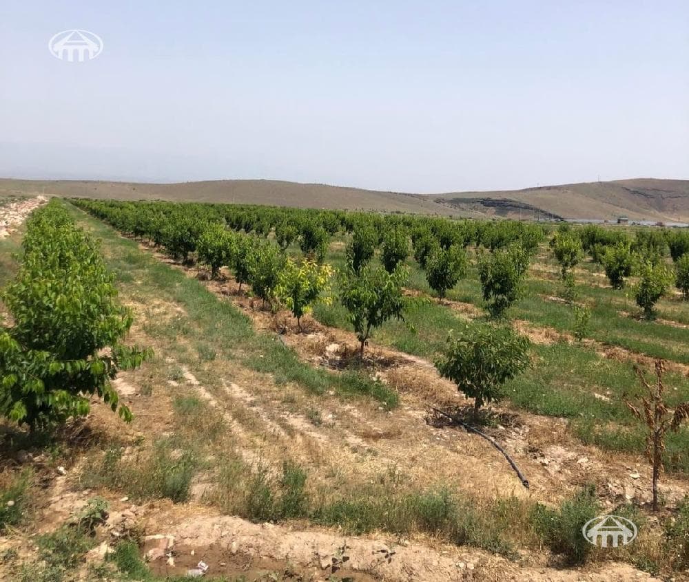 Հողատարածք · գ. Կողբավան