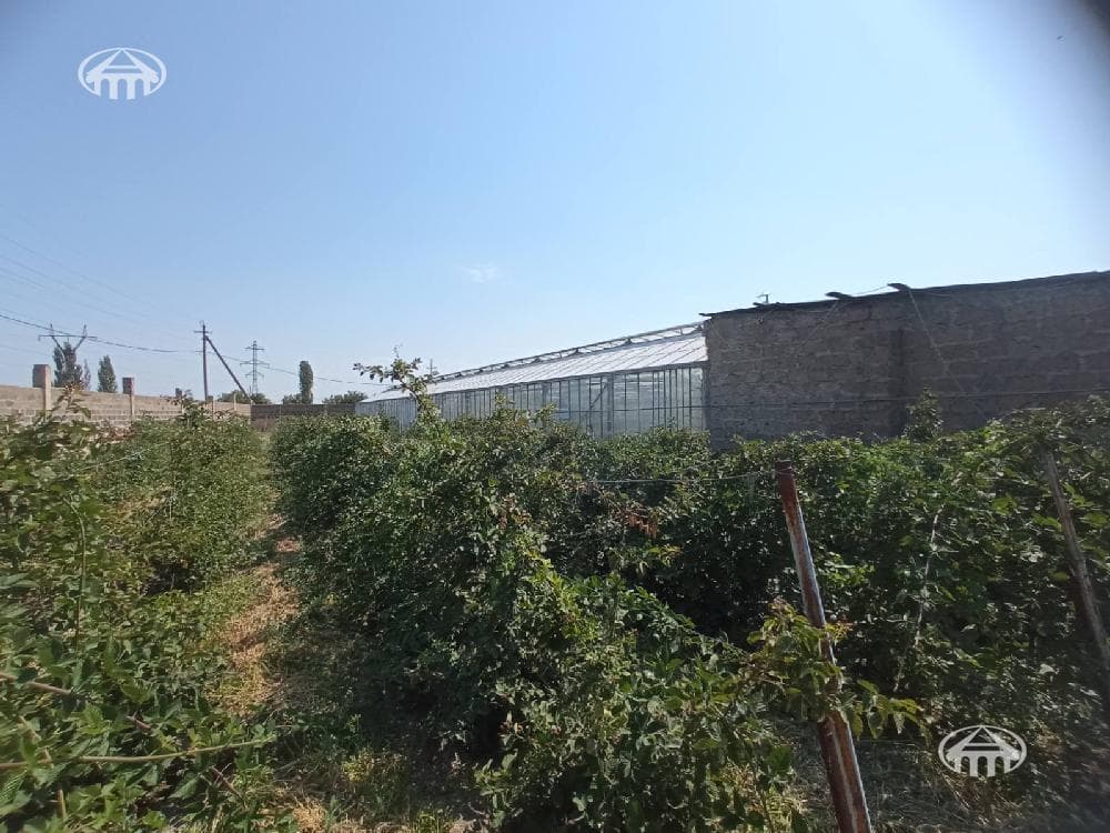 Прочее · 10 000 м² · Вагаршапат