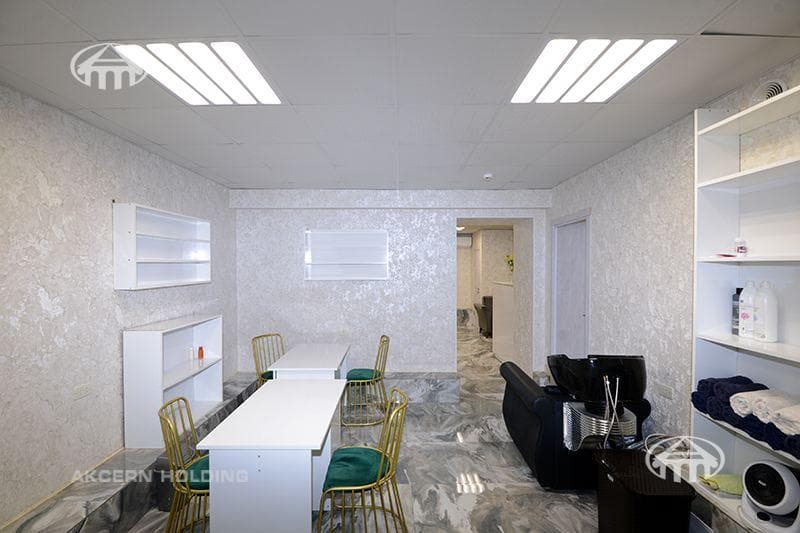 Salon · 66 m² · Kentron