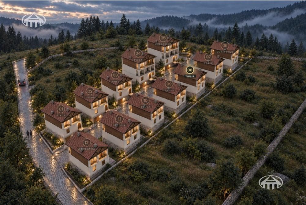 Mansion · 234 m² · Dilijan