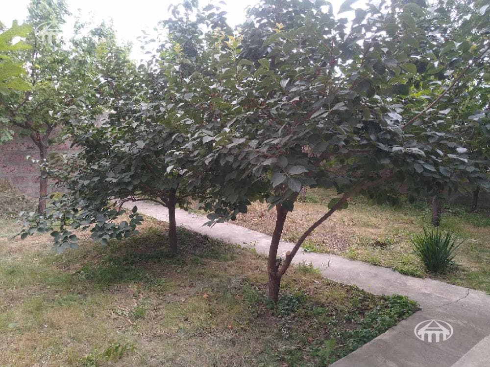 Mansion · 5 rooms · 243 m² · Ajapnyak