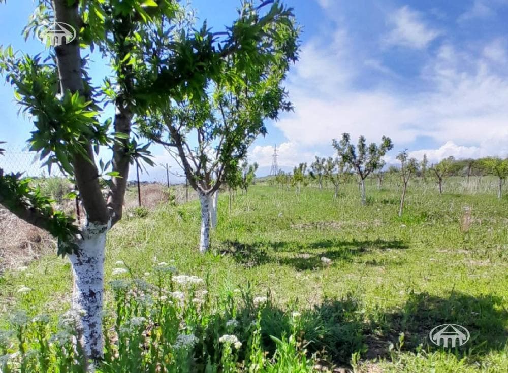 Участок · 1 449 м² · Джрвеж