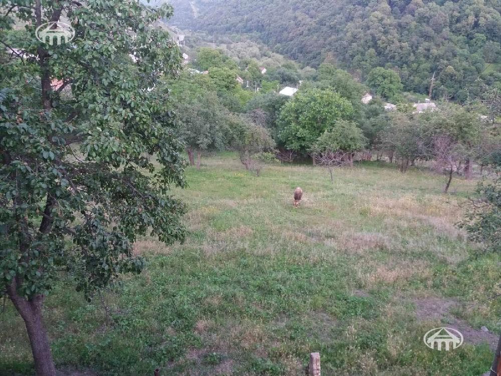 Прочее · 292 м² · Айгут