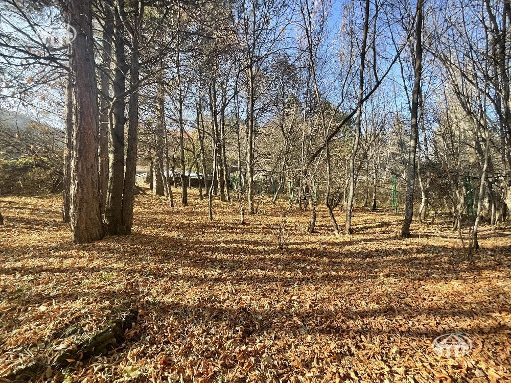 Հյուրանոց · 9 սեն. · 2142 մ² · Արզական — Լուսանկար 46 / 49