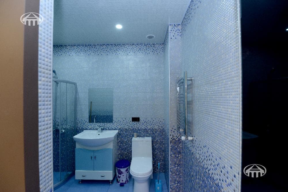 Mansion · 5 rooms · 600 m² · Arabkir