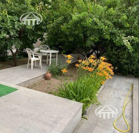 Այլ · 630 մ² · Կենտրոն