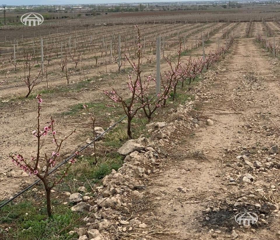 Հողատարածք · 54 823 մ² · Ակնալիճ