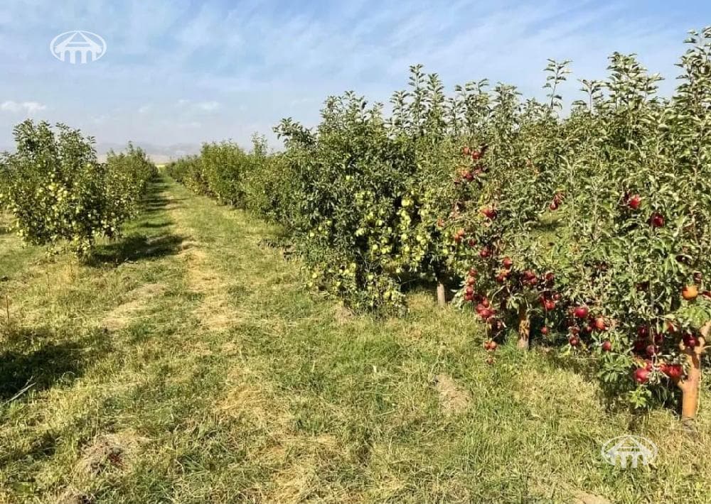 Հողատարածք · 23 562 մ² · Եղվարդ