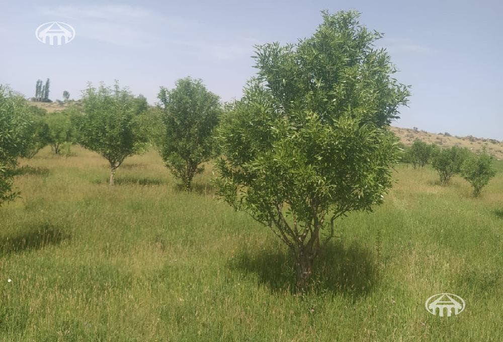 Участок · 762 м² · Мргашен