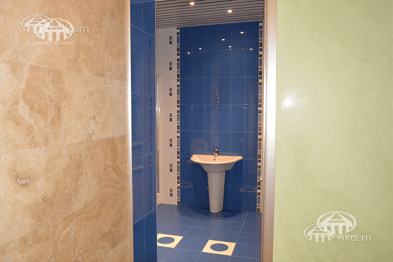 Mansion · 5 rooms · 379 m² · Arabkir