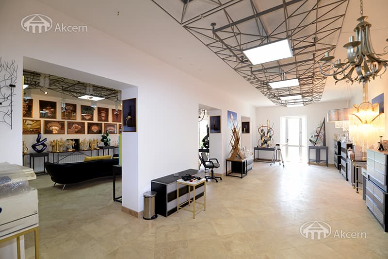 Mansion · 9 rooms · 600 m² · Balahovit