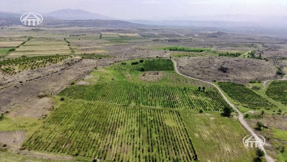 Land · 37,600 m² · Aragatsotn