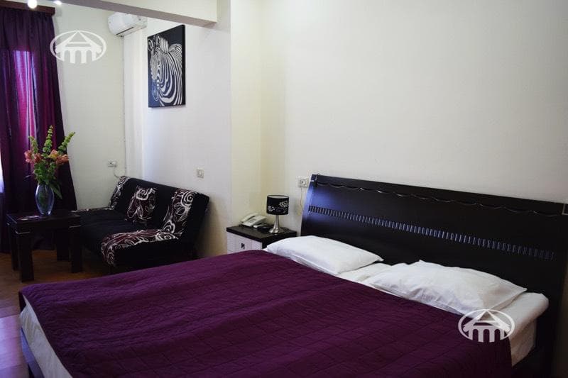 Hotel · 7 rooms · 328 m² · Arabkir