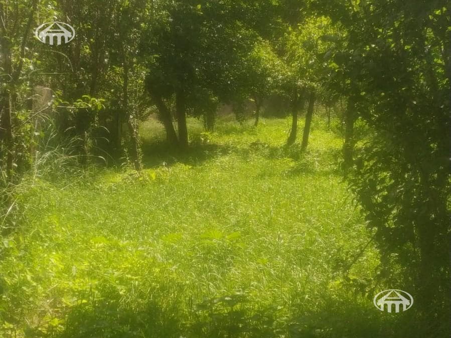 Հողատարածք · 450 մ² · Դիլիջան