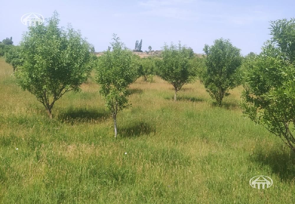 Участок · 762 м² · Мргашен