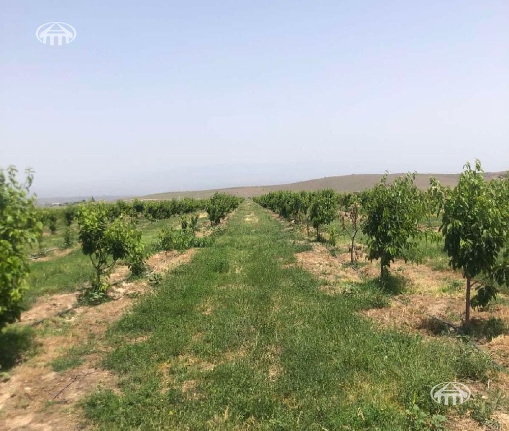 Հողատարածք · գ. Կողբավան